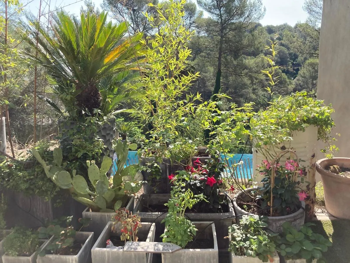Villa Maison Ensoleillee Au Milieu Des Pins Entre Marseille Et Cassis France